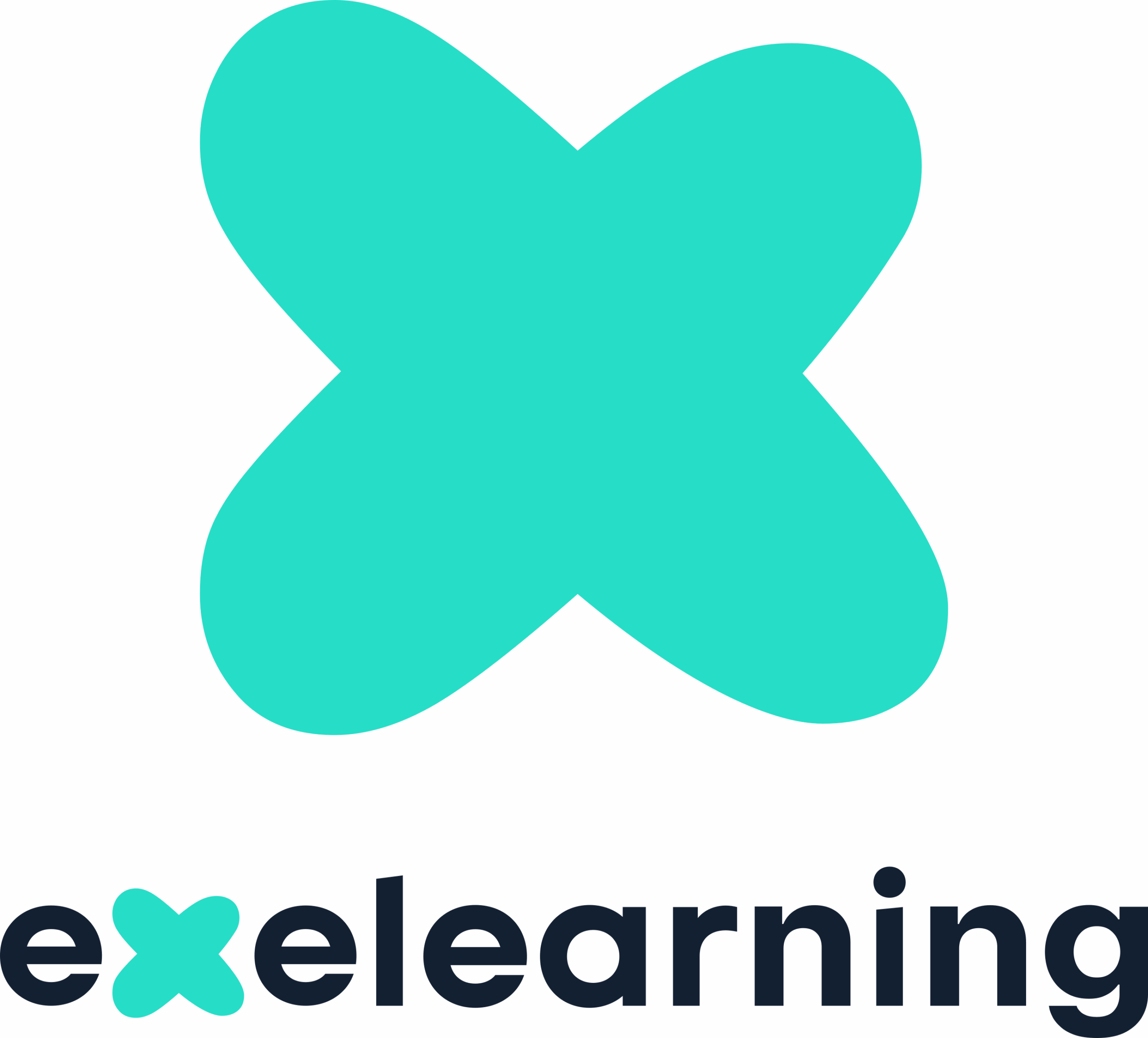 logo exe